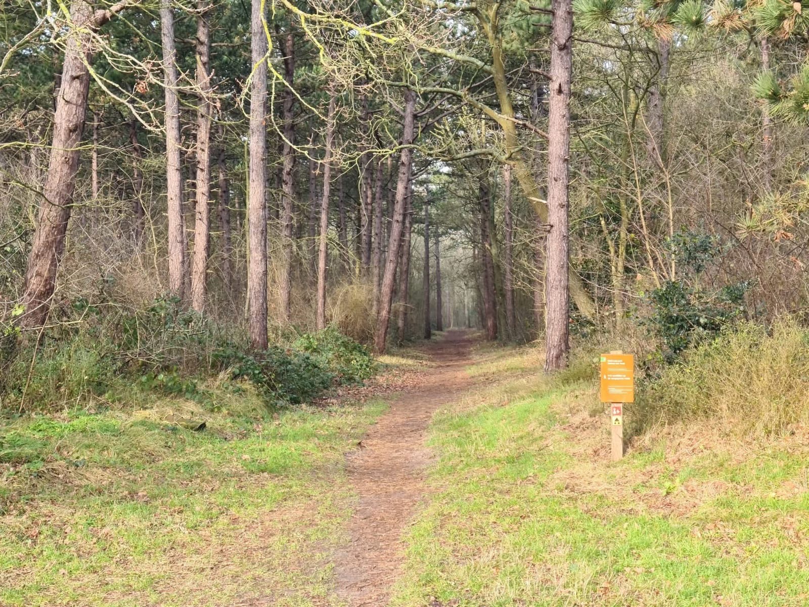 Foto van de ingang van een wandelpad in het bos.