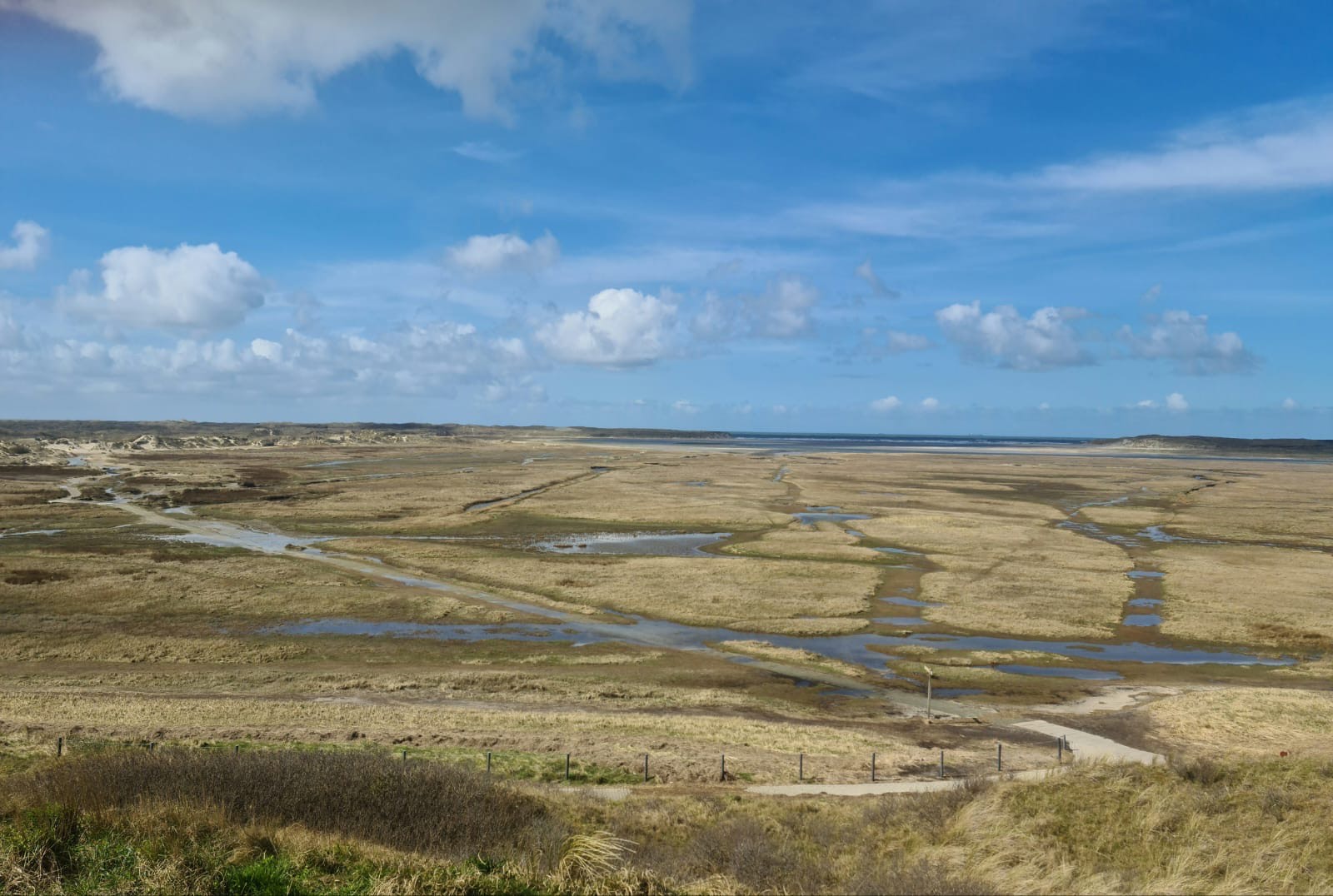 Foto van het natuurgebied de Slufter op Texel.