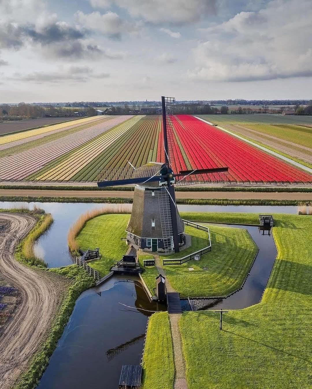 Foto vanuit de lucht met op de voorgrond een grote molen met bloembollen velden daarachter