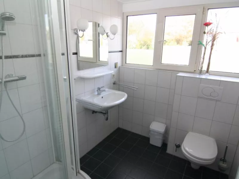 Badkamer boven met douchecabine, toilet en wastafel met spiegel.