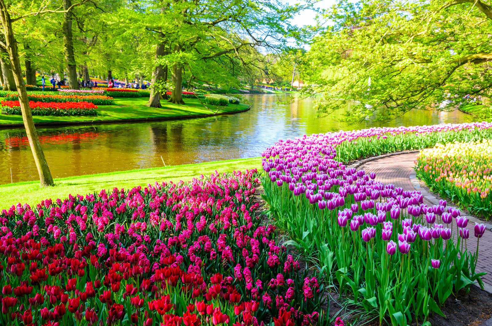 Foto van water met enkele bloemenperken in de Keukenhof.