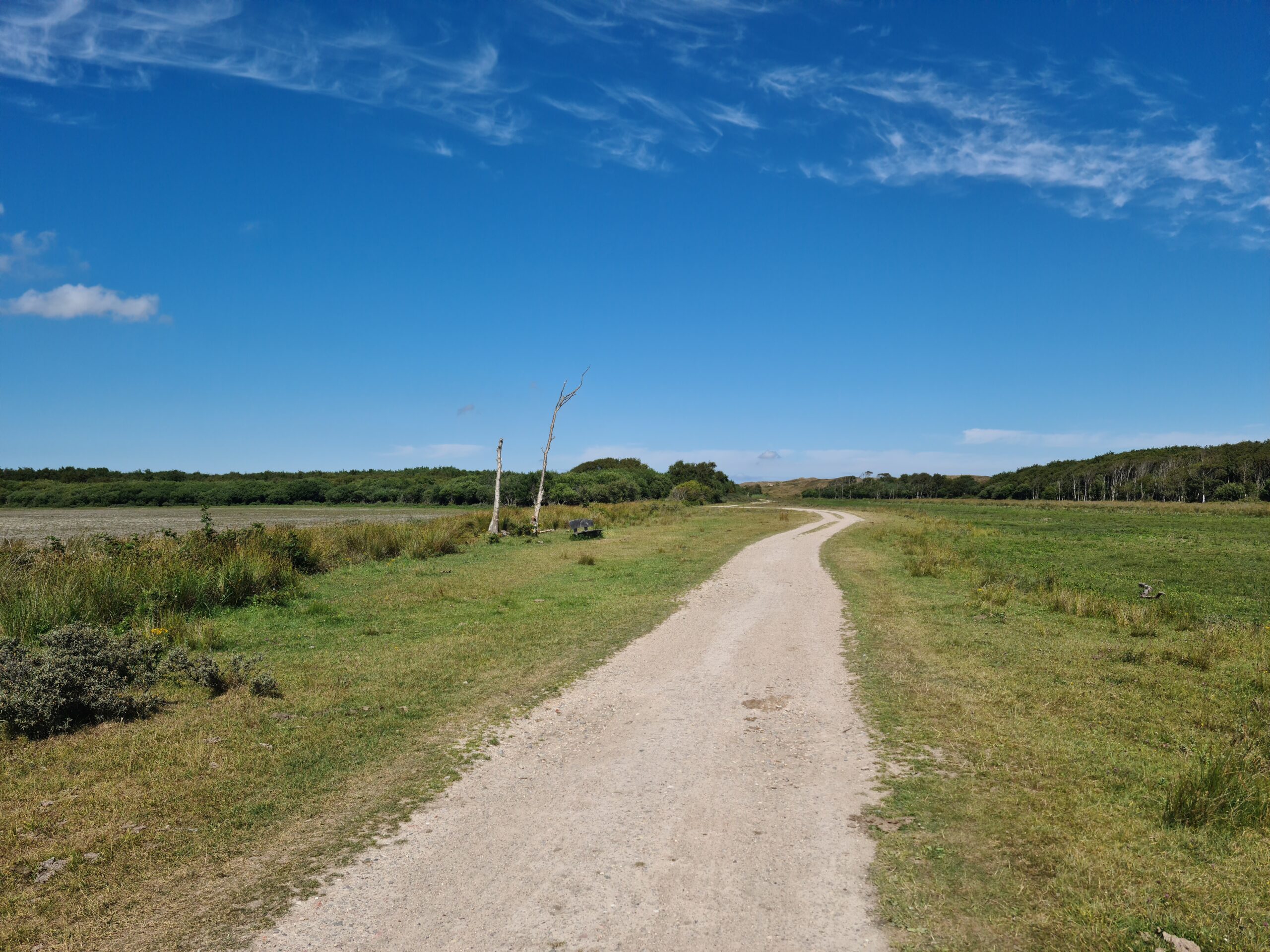 Foto van het natuurgebied de Slufter op Texel.